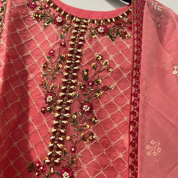Indian Pakistani Embroidery Kameez and dupatta Organza - Picture 3 of 3